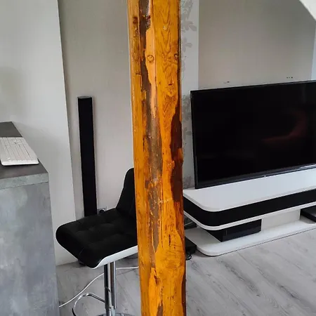 Hollerbusch Apartment *