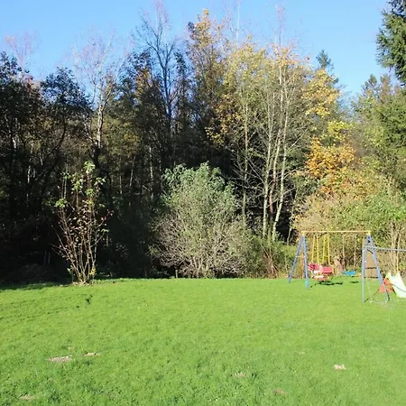 Hollerbusch